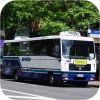 Bayes Coachlines fleet images