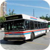 Brampton Transit