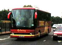 Redwing Setra