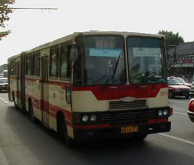 Beijing articulated bus