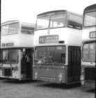 Brighton Corporation Atlantean 10