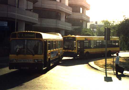 Beeline Leyland National UPB303S