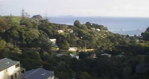 Waiheke Bus Company Bedford VAM75 NZMB/Hess climbing from Palm Cove